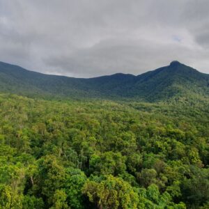 Fumaça de incêndios reduz em 24% a absorção de carbono da Amazônia e agrava perdas na seca Fumaça de incêndios reduz em 24% a absorção de carbono da Amazônia e agrava perdas na seca
