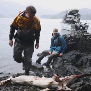 Peixe-espada de quase 2 metros aparece morto em Haida Gwaii, e El Niño entra na explicação do achado Peixe-espada de quase 2 metros aparece morto em Haida Gwaii, e El Niño entra na explicação do achado