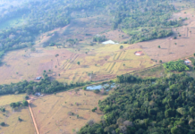 Lidar revela 396 geoglifos antigos na Amazônia e amplia o mapa de uma civilização que pode ter reunido 3 milhões Lidar revela 396 geoglifos antigos na Amazônia e amplia o mapa de uma civilização que pode ter reunido 3 milhões