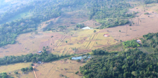 Lidar revela 396 geoglifos antigos na Amazônia e amplia o mapa de uma civilização que pode ter reunido 3 milhões Lidar revela 396 geoglifos antigos na Amazônia e amplia o mapa de uma civilização que pode ter reunido 3 milhões