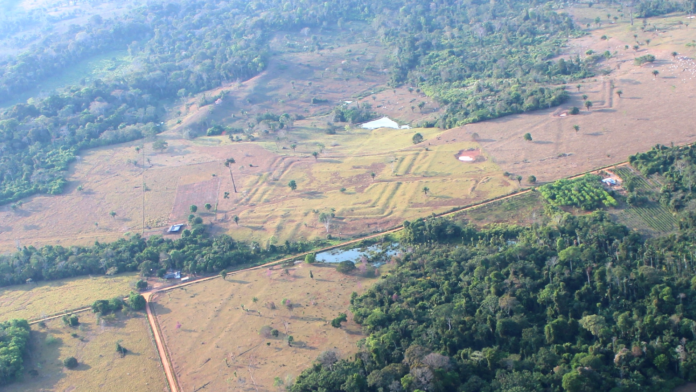 Lidar revela 396 geoglifos antigos na Amazônia e amplia o mapa de uma civilização que pode ter reunido 3 milhões Lidar revela 396 geoglifos antigos na Amazônia e amplia o mapa de uma civilização que pode ter reunido 3 milhões