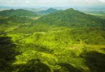 El Niño de 2023 deixou 75% das florestas tropicais sob seca e calor, e a Amazônia pode enfrentar nove vezes mais El Niño de 2023 deixou 75% das florestas tropicais sob seca e calor, e a Amazônia pode enfrentar nove vezes mais