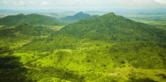 El Niño de 2023 deixou 75% das florestas tropicais sob seca e calor, e a Amazônia pode enfrentar nove vezes mais El Niño de 2023 deixou 75% das florestas tropicais sob seca e calor, e a Amazônia pode enfrentar nove vezes mais