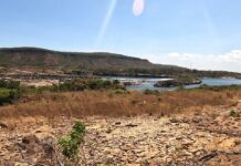 Rios do Cerrado perderam 13,9 milhões de hectares de vegetação em 40 anos, mostra mapa Rios do Cerrado perderam 13,9 milhões de hectares de vegetação em 40 anos, mostra mapa