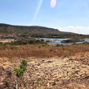 Rios do Cerrado perderam 13,9 milhões de hectares de vegetação em 40 anos, mostra mapa Rios do Cerrado perderam 13,9 milhões de hectares de vegetação em 40 anos, mostra mapa