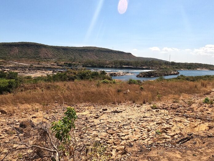 Rios do Cerrado perderam 13,9 milhões de hectares de vegetação em 40 anos, mostra mapa Rios do Cerrado perderam 13,9 milhões de hectares de vegetação em 40 anos, mostra mapa
