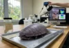 Isópode gigante de 32,2 cm fica décadas em coleção de Porto Rico até imagens revelarem nova espécie Isópode gigante de 32,2 cm fica décadas em coleção de Porto Rico até imagens revelarem nova espécie