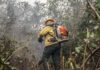 Amazonas registra 540 focos em 48 horas, aciona aviões e amplia alerta após fogo atingir áreas isoladas Amazonas registra 540 focos em 48 horas, aciona aviões e amplia alerta após fogo atingir áreas isoladas