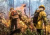 Incêndios no Amazonas dobram em 2026, atingem terra Mura e levam 11 aeronaves a uma região sob alerta Incêndios no Amazonas dobram em 2026, atingem terra Mura e levam 11 aeronaves a uma região sob alerta