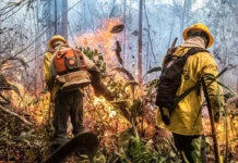 Incêndios no Amazonas dobram em 2026, atingem terra Mura e levam 11 aeronaves a uma região sob alerta Incêndios no Amazonas dobram em 2026, atingem terra Mura e levam 11 aeronaves a uma região sob alerta