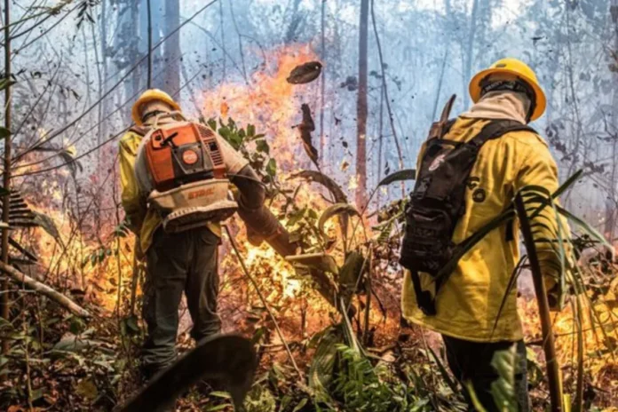 Incêndios no Amazonas dobram em 2026, atingem terra Mura e levam 11 aeronaves a uma região sob alerta Incêndios no Amazonas dobram em 2026, atingem terra Mura e levam 11 aeronaves a uma região sob alerta