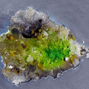 Darwin achou uma rocha vulcânica seca no meio do Atlântico; o plano que veio depois criou uma floresta de nuvens que existe até hoje Darwin achou uma rocha vulcânica seca no meio do Atlântico; o plano que veio depois criou uma floresta de nuvens que existe até hoje