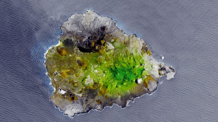 Darwin achou uma rocha vulcânica seca no meio do Atlântico; o plano que veio depois criou uma floresta de nuvens que existe até hoje Darwin achou uma rocha vulcânica seca no meio do Atlântico; o plano que veio depois criou uma floresta de nuvens que existe até hoje