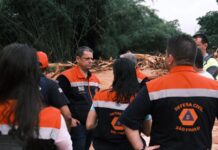 Chuva recorde abriu 853 cicatrizes na Mata Atlântica de São Sebastião; três anos e 134 milhões de sementes depois, 80% das encostas voltaram a ter floresta Chuva recorde abriu 853 cicatrizes na Mata Atlântica de São Sebastião; três anos e 134 milhões de sementes depois, 80% das encostas voltaram a ter floresta