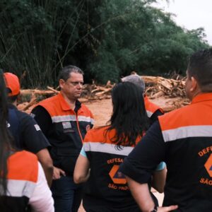 Chuva recorde abriu 853 cicatrizes na Mata Atlântica de São Sebastião; três anos e 134 milhões de sementes depois, 80% das encostas voltaram a ter floresta Chuva recorde abriu 853 cicatrizes na Mata Atlântica de São Sebastião; três anos e 134 milhões de sementes depois, 80% das encostas voltaram a ter floresta