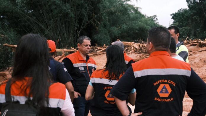 Chuva recorde abriu 853 cicatrizes na Mata Atlântica de São Sebastião; três anos e 134 milhões de sementes depois, 80% das encostas voltaram a ter floresta Chuva recorde abriu 853 cicatrizes na Mata Atlântica de São Sebastião; três anos e 134 milhões de sementes depois, 80% das encostas voltaram a ter floresta