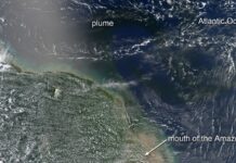 Água doce do Amazonas viaja centenas de quilômetros mar adentro, deixa o Atlântico 9% menos salgado e ajuda o oceano a puxar CO₂ do ar Água doce do Amazonas viaja centenas de quilômetros mar adentro, deixa o Atlântico 9% menos salgado e ajuda o oceano a puxar CO₂ do ar
