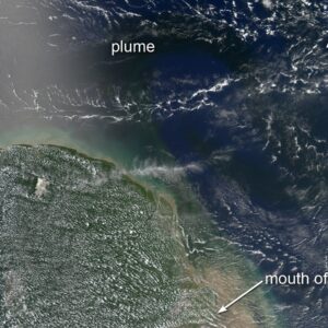 Água doce do Amazonas viaja centenas de quilômetros mar adentro, deixa o Atlântico 9% menos salgado e ajuda o oceano a puxar CO₂ do ar Água doce do Amazonas viaja centenas de quilômetros mar adentro, deixa o Atlântico 9% menos salgado e ajuda o oceano a puxar CO₂ do ar
