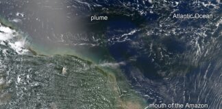 Água doce do Amazonas viaja centenas de quilômetros mar adentro, deixa o Atlântico 9% menos salgado e ajuda o oceano a puxar CO₂ do ar Água doce do Amazonas viaja centenas de quilômetros mar adentro, deixa o Atlântico 9% menos salgado e ajuda o oceano a puxar CO₂ do ar