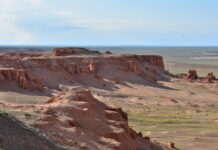 Por 40 anos, cientistas julgaram um mamífero da era dos dinossauros só pelos dentes; um esqueleto quase completo no deserto de Gobi mostrou que estavam errados Por 40 anos, cientistas julgaram um mamífero da era dos dinossauros só pelos dentes; um esqueleto quase completo no deserto de Gobi mostrou que estavam errados