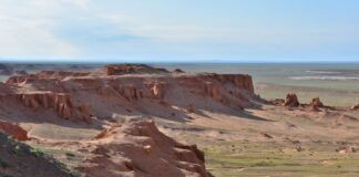 Por 40 anos, cientistas julgaram um mamífero da era dos dinossauros só pelos dentes; um esqueleto quase completo no deserto de Gobi mostrou que estavam errados Por 40 anos, cientistas julgaram um mamífero da era dos dinossauros só pelos dentes; um esqueleto quase completo no deserto de Gobi mostrou que estavam errados