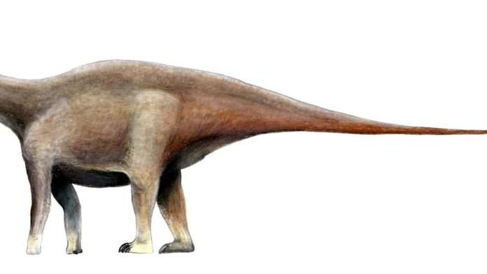 Operários abriam terreno para uma ferrovia no Maranhão e acharam ossos gigantes: eram de um dinossauro de até 23 metros, o maior já encontrado no estado Operários abriam terreno para uma ferrovia no Maranhão e acharam ossos gigantes: eram de um dinossauro de até 23 metros, o maior já encontrado no estado