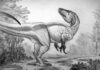 Fóssil esquecido 100 anos numa gaveta de museu era um predador com garras de até 20 cm; para humanos, ele seria mais perigoso que um T. rex Fóssil esquecido 100 anos numa gaveta de museu era um predador com garras de até 20 cm; para humanos, ele seria mais perigoso que um T. rex