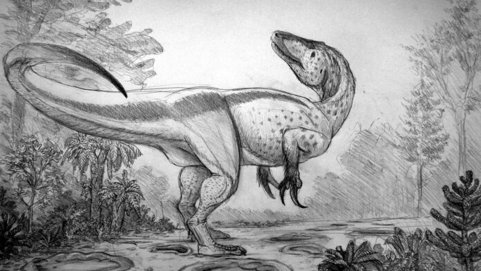 Fóssil esquecido 100 anos numa gaveta de museu era um predador com garras de até 20 cm; para humanos, ele seria mais perigoso que um T. rex Fóssil esquecido 100 anos numa gaveta de museu era um predador com garras de até 20 cm; para humanos, ele seria mais perigoso que um T. rex