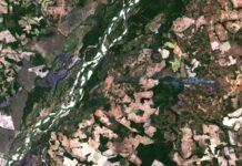 Peixes do Araguaia têm mercúrio em níveis próximos aos do Madeira, mesmo sem tanto garimpo; estudo aponta desmatamento e queimadas como suspeitos Peixes do Araguaia têm mercúrio em níveis próximos aos do Madeira, mesmo sem tanto garimpo; estudo aponta desmatamento e queimadas como suspeitos