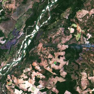 Peixes do Araguaia têm mercúrio em níveis próximos aos do Madeira, mesmo sem tanto garimpo; estudo aponta desmatamento e queimadas como suspeitos Peixes do Araguaia têm mercúrio em níveis próximos aos do Madeira, mesmo sem tanto garimpo; estudo aponta desmatamento e queimadas como suspeitos