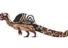 Numa ilha quilombola do Maranhão que some sob a maré, pesquisadores acharam o maior dinossauro carnívoro do Brasil, com até 14 metros Numa ilha quilombola do Maranhão que some sob a maré, pesquisadores acharam o maior dinossauro carnívoro do Brasil, com até 14 metros