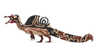 Numa ilha quilombola do Maranhão que some sob a maré, pesquisadores acharam o maior dinossauro carnívoro do Brasil, com até 14 metros Numa ilha quilombola do Maranhão que some sob a maré, pesquisadores acharam o maior dinossauro carnívoro do Brasil, com até 14 metros