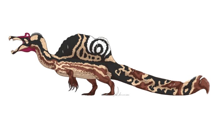 Numa ilha quilombola do Maranhão que some sob a maré, pesquisadores acharam o maior dinossauro carnívoro do Brasil, com até 14 metros Numa ilha quilombola do Maranhão que some sob a maré, pesquisadores acharam o maior dinossauro carnívoro do Brasil, com até 14 metros