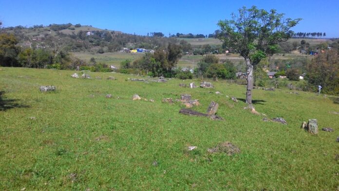 No interior do Tocantins existe uma floresta que virou pedra antes dos dinossauros: troncos de até 290 milhões de anos espalhados pelo chão do Cerrado No interior do Tocantins existe uma floresta que virou pedra antes dos dinossauros: troncos de até 290 milhões de anos espalhados pelo chão do Cerrado