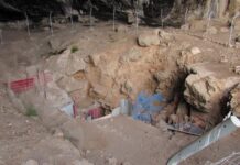 Furo redondo num osso de ombro de 75 mil anos revela que um neandertal morreu atingido por uma lança de madeira, anos depois de sobreviver a um golpe no rosto Furo redondo num osso de ombro de 75 mil anos revela que um neandertal morreu atingido por uma lança de madeira, anos depois de sobreviver a um golpe no rosto