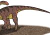 Aposentado que consertava geladeiras achou ossos numa obra de estrada no RS em 1998; eram de um dinossauro de 225 milhões de anos, que ganhou o nome dele Aposentado que consertava geladeiras achou ossos numa obra de estrada no RS em 1998; eram de um dinossauro de 225 milhões de anos, que ganhou o nome dele