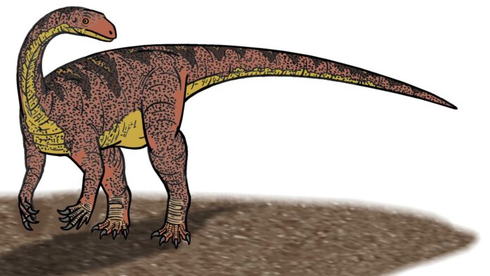 Aposentado que consertava geladeiras achou ossos numa obra de estrada no RS em 1998; eram de um dinossauro de 225 milhões de anos, que ganhou o nome dele Aposentado que consertava geladeiras achou ossos numa obra de estrada no RS em 1998; eram de um dinossauro de 225 milhões de anos, que ganhou o nome dele