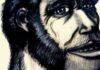 Crânio de 2 milhões de anos na África do Sul confirma que o Homo erectus, ancestral direto da humanidade, surgiu 200 mil anos antes do que se pensava Crânio de 2 milhões de anos na África do Sul confirma que o Homo erectus, ancestral direto da humanidade, surgiu 200 mil anos antes do que se pensava