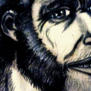 Crânio de 2 milhões de anos na África do Sul confirma que o Homo erectus, ancestral direto da humanidade, surgiu 200 mil anos antes do que se pensava Crânio de 2 milhões de anos na África do Sul confirma que o Homo erectus, ancestral direto da humanidade, surgiu 200 mil anos antes do que se pensava