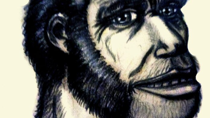 Crânio de 2 milhões de anos na África do Sul confirma que o Homo erectus, ancestral direto da humanidade, surgiu 200 mil anos antes do que se pensava Crânio de 2 milhões de anos na África do Sul confirma que o Homo erectus, ancestral direto da humanidade, surgiu 200 mil anos antes do que se pensava