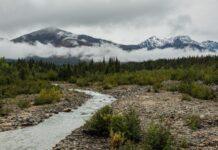 Acampamento de 13.800 anos no Alasca mostra como viviam os humanos que cruzaram a ponte de terra entre a Ásia e a América: caçavam mamute e costuravam com agulhas de osso de ave Acampamento de 13.800 anos no Alasca mostra como viviam os humanos que cruzaram a ponte de terra entre a Ásia e a América: caçavam mamute e costuravam com agulhas de osso de ave