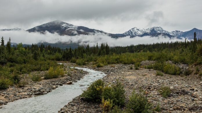 Acampamento de 13.800 anos no Alasca mostra como viviam os humanos que cruzaram a ponte de terra entre a Ásia e a América: caçavam mamute e costuravam com agulhas de osso de ave Acampamento de 13.800 anos no Alasca mostra como viviam os humanos que cruzaram a ponte de terra entre a Ásia e a América: caçavam mamute e costuravam com agulhas de osso de ave