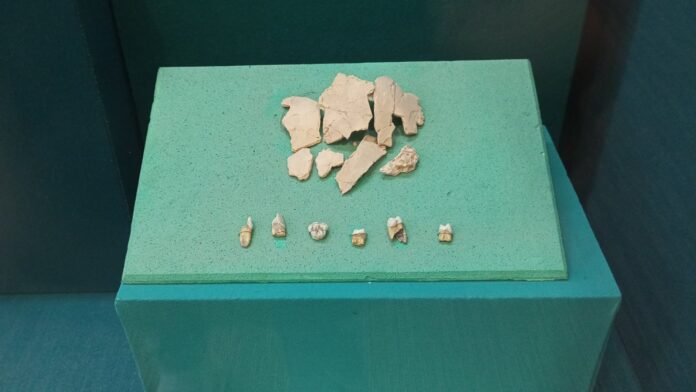 Pontas de flecha de 80 mil anos numa caverna do Uzbequistão podem reescrever a rota dos primeiros Homo sapiens até a Europa Pontas de flecha de 80 mil anos numa caverna do Uzbequistão podem reescrever a rota dos primeiros Homo sapiens até a Europa