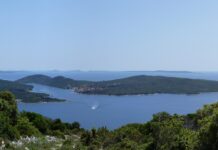Navio romano afundado há 2.200 anos no Adriático guardava o segredo da impermeabilização: piche de pinheiro e cera de abelha com pólen preso dentro Navio romano afundado há 2.200 anos no Adriático guardava o segredo da impermeabilização: piche de pinheiro e cera de abelha com pólen preso dentro