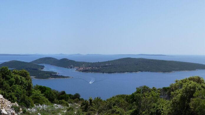 Navio romano afundado há 2.200 anos no Adriático guardava o segredo da impermeabilização: piche de pinheiro e cera de abelha com pólen preso dentro Navio romano afundado há 2.200 anos no Adriático guardava o segredo da impermeabilização: piche de pinheiro e cera de abelha com pólen preso dentro