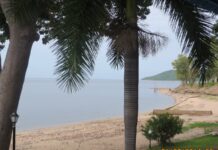 Dinossauro de 210 milhões de anos achado às margens de um rio no Zimbábue mostra que a África do Triássico tinha um mundo próprio de espécies Dinossauro de 210 milhões de anos achado às margens de um rio no Zimbábue mostra que a África do Triássico tinha um mundo próprio de espécies