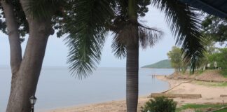 Dinossauro de 210 milhões de anos achado às margens de um rio no Zimbábue mostra que a África do Triássico tinha um mundo próprio de espécies Dinossauro de 210 milhões de anos achado às margens de um rio no Zimbábue mostra que a África do Triássico tinha um mundo próprio de espécies