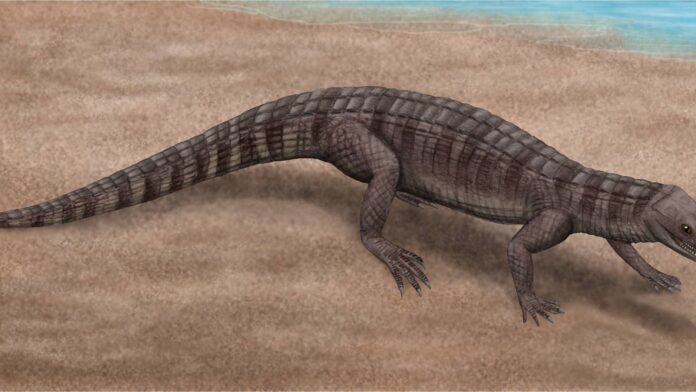 Luz ultravioleta revelou a pele e até listras na cauda de um crocodilo de 125 milhões de anos guardado em museu há mais de um século Luz ultravioleta revelou a pele e até listras na cauda de um crocodilo de 125 milhões de anos guardado em museu há mais de um século
