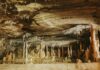 Por 25 mil anos, povos aborígenes levaram capim para dentro de uma caverna da Austrália e o queimaram em rituais, camada sobre camada Por 25 mil anos, povos aborígenes levaram capim para dentro de uma caverna da Austrália e o queimaram em rituais, camada sobre camada