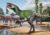 Fóssil guardado por 100 anos revela dinossauro de 4 metros e reabre mapa dos predadores do Cretáceo Fóssil guardado por 100 anos revela dinossauro de 4 metros e reabre mapa dos predadores do Cretáceo